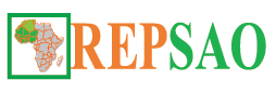 logo_site_REPSAO-08.png